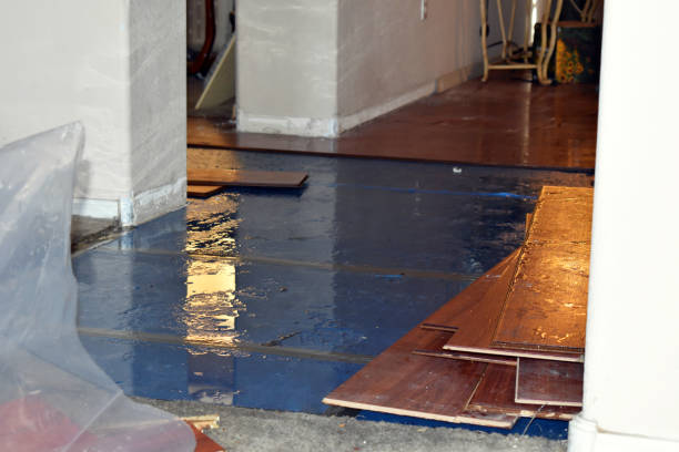 Professional Flood Cleanup technician working in Wayland, OH